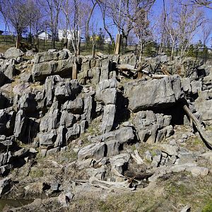 Sichuan Takin Exhibit