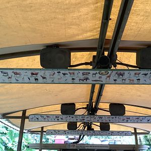 Kilimanjaro Safari Species List 3/18/24