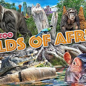 Wilds of Africa | Zoo Tours