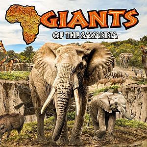 Giants of the Savanna | Zoo Tours