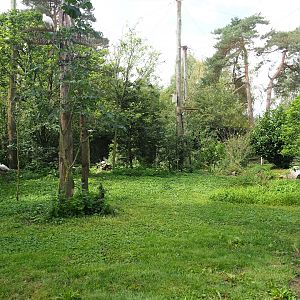 African aviary, 2023-08-15