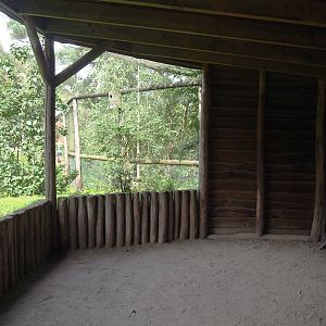 African aviary viewing area, 2023-08-15