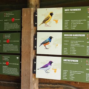 African aviary bird signage, 2023-08-15