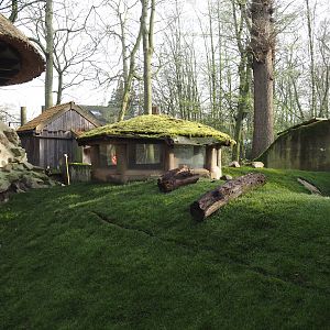 Domestic rabbit exhibit with new grass turf rolls, 2024-03-20