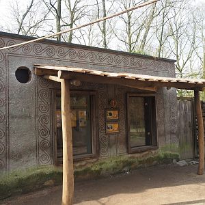 Golden-headed lion tamarin and white-faced saki house with new canopy and holes in wall for new outdoor accesses, 2024-03-20