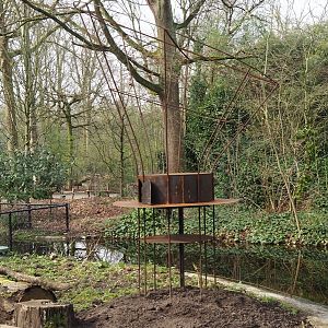 New feeder on golden-headed lion tamarin and white-faced saki island, 2024-03-20