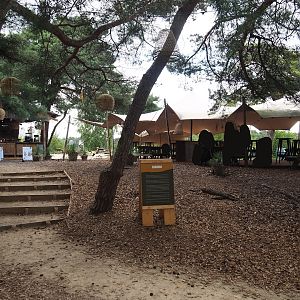 Eating area and food stand near safari boat dock, 2023-08-15