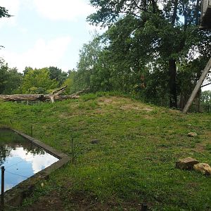 Indian sloth bear and Asian small-clawed otter exhibit, 2023-08-15