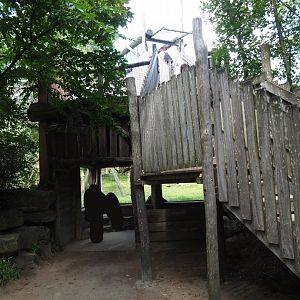 Indian sloth bear and Asian small-clawed otter exhibit viewing area and access to adventure bridge above exhibit, 2023-08-15