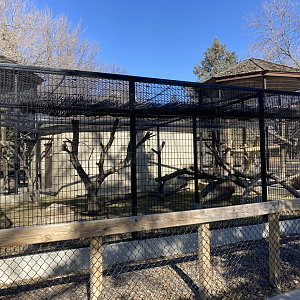 Expanded Debrazza Monkey Enclosure