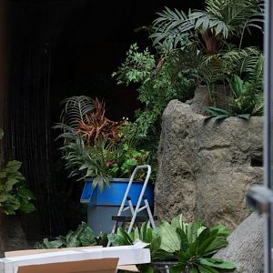 Tropical Reef Aquarium construction