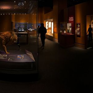 Objects Of Wonder Exhibit - Panorama 1