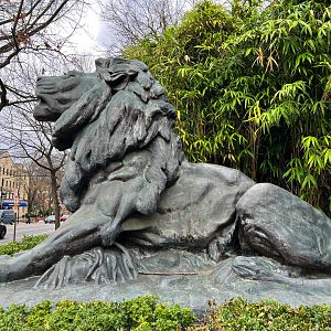 Entrance Lion Statue