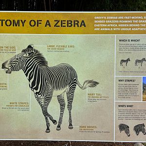 Grevy's Zebra Exhibit Sign