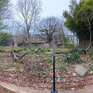 Grevy's Zebra Exhibit (Empty)