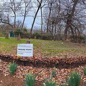 Lesser Kudu Exhibit (Undergoing Renovation)