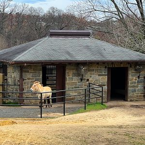 Przewalski's Wild Horse Barn
