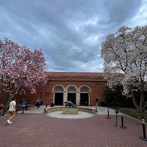 Small Mammal House With Spring Blooms
