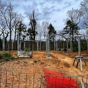 Feline Exhibit Under Construction