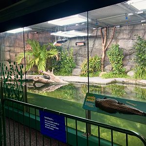 New Philippine crocodile exhibit