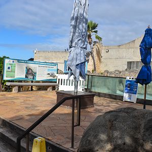 Vacant Monk Seal Enclosure