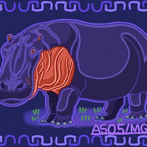 Hippopotamus (Redraw)
