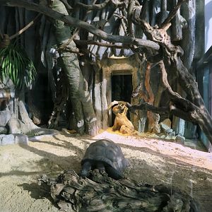 Madagascar - 9th floor