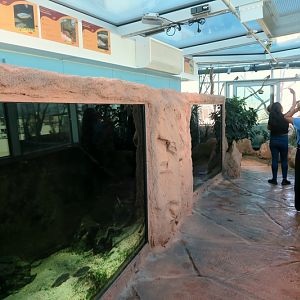 Autralia - 9th floor