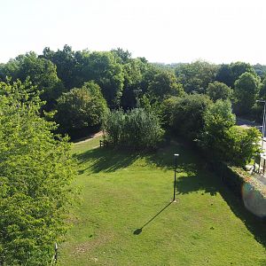 Lakenvelder cattle paddock seen from viewing tower next to parking lot, 2023-07-18
