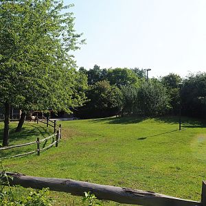 Lakenvelder cattle paddock, 2023-07-18