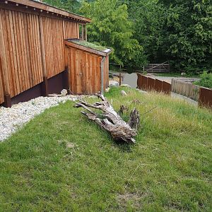 European souslik exhibit, 2023-07-18