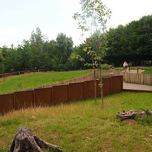 European souslik and Bactrian camel exhibit, 2023-07-18