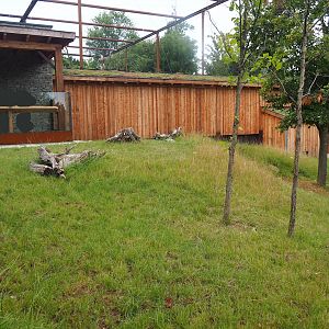 European souslik exhibit, 2023-07-18