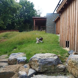 European souslik exhibit, 2023-07-18