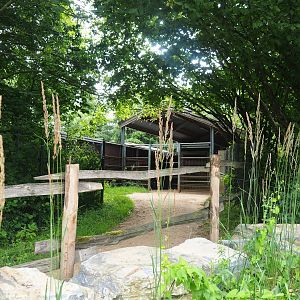 Bactrian camel holding area, 2023-07-18