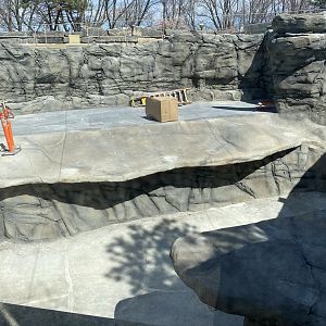 Walrus Habitat Right Side, 3-24-24