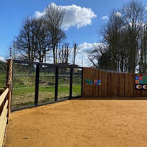Monkey forest, viewing windows, ZSL Whipsnade