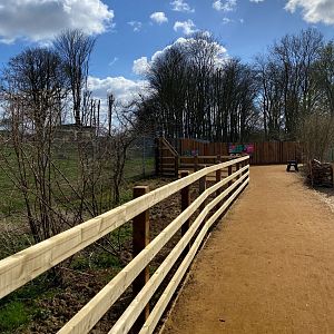 Monkey forest, entry path, ZSL Whipsnade