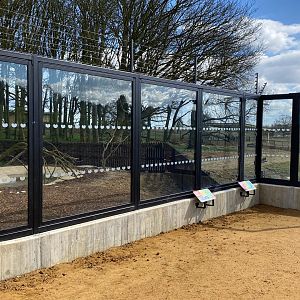 Monkey forest, Macaque and Anoa, lhs enclosure, viewing window, ZSL Whipsnade