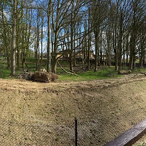 Monkey forest, Macaque and Anoa, lhs pano, ZSL Whipsnade
