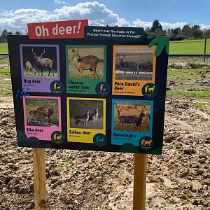 Monkey forest, deer signage, ZSL Whipsnade