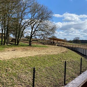 Monkey forest, right hand side enclosure, ZSL Whipsnade