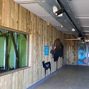 Monkey forest Anoa house, indoor viewing, ZSL Whipsnade