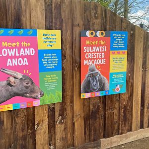 Monkey forest, new style signage, ZSL Whipsnade