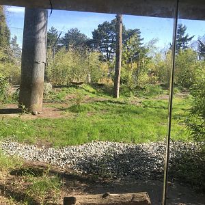 Malayan Tiger Exhibit