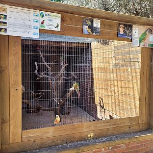 Psittaciformes exhibit -Tierra Rapaz (2024)