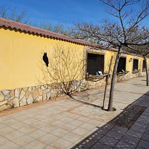Owl aviary row view -Tierra Rapaz (2024)