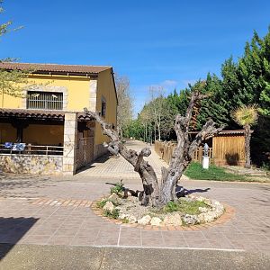 Park view -Tierra Rapaz (2024)