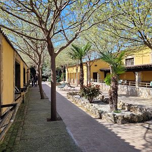 View of owl aviaries and big raptor perches -Tierra Rapaz (2024)