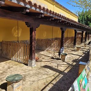 Big raptor perches -Tierra Rapaz (2024)